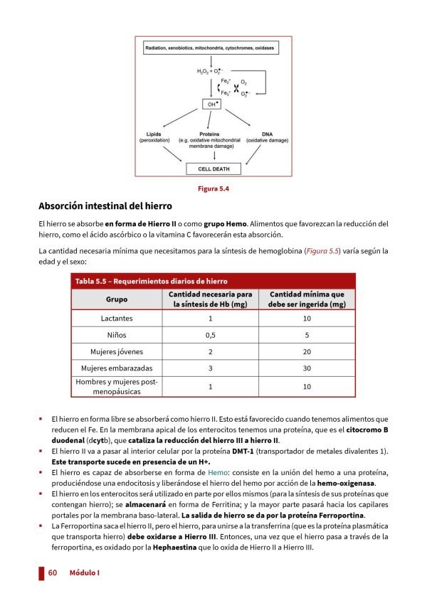 Resumen - Hematología e Inmunología (CBCC6) - Imagen 4