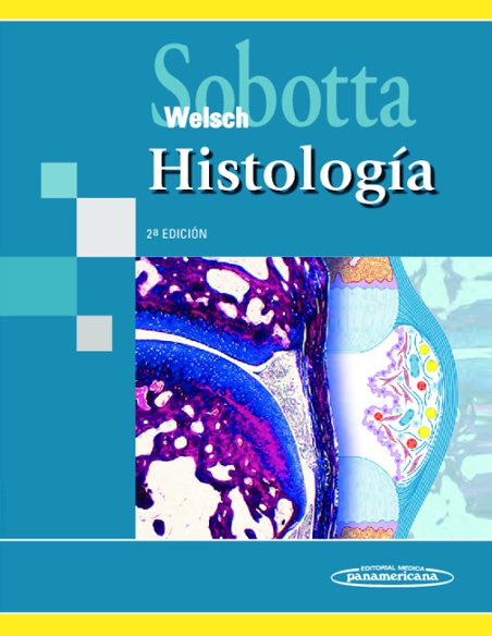 histo_sobotta