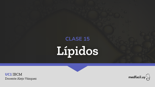 Clase 15: Lípidos