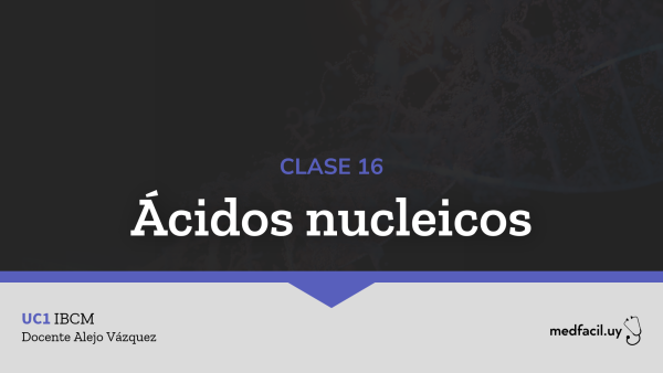 Clase 16: Ácidos nucleicos