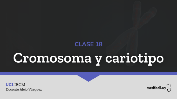 Clase 18: Cromosoma y cariotipo