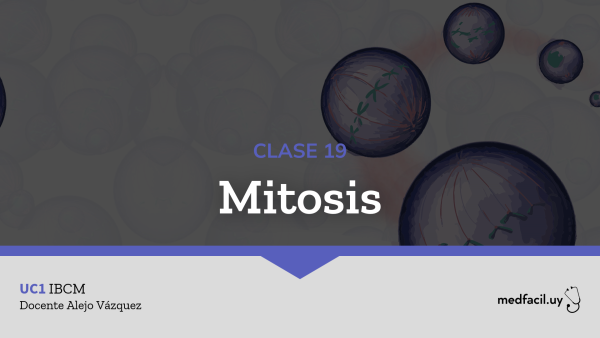 Clase 19: Mitosis