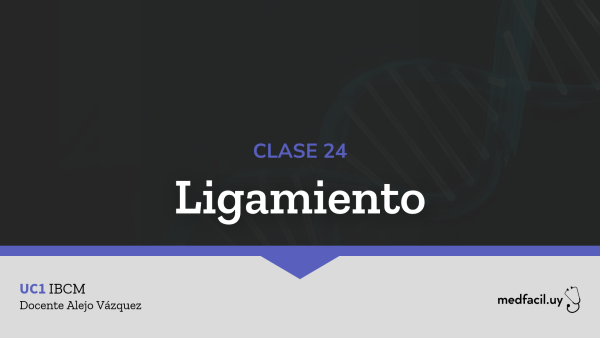 Clase 24: Ligamiento