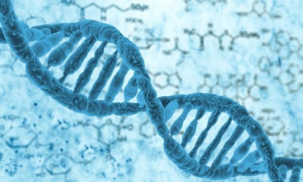 Primer Parcial BCM – Biología Celular y Molecular