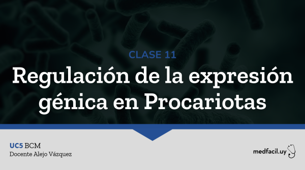 Clase 11: Regulación de la expresión génica en Procariotas