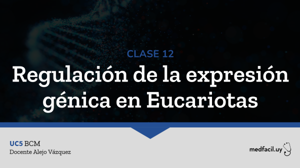 Clase 12: Regulación de la expresión génica en Eucariotas